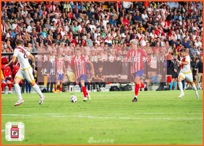 了解世界杯竞猜平台网址的功能与使用体验
