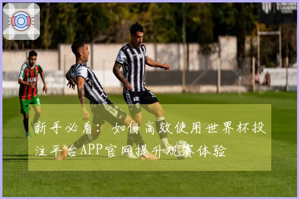 新手必看：如何高效使用世界杯投注平台APP官网提升观赛体验
