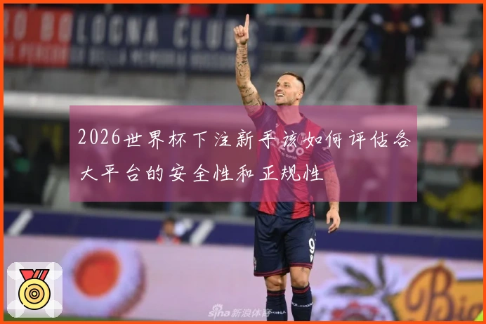 2026世界杯下注新手该如何评估各大平台的安全性和正规性