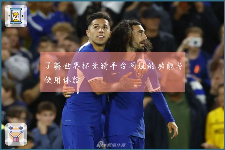 了解世界杯竞猜平台网址的功能与使用体验