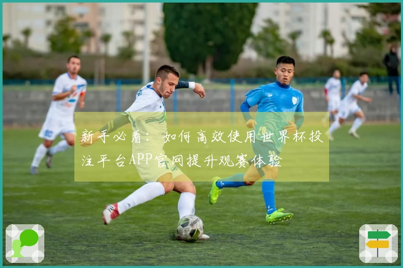 新手必看：如何高效使用世界杯投注平台APP官网提升观赛体验