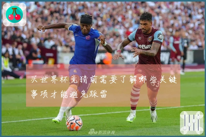买世界杯竞猜前需要了解哪些关键事项才能避免踩雷