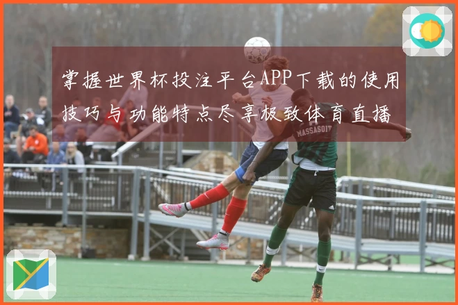 掌握世界杯投注平台APP下载的使用技巧与功能特点尽享极致体育直播体验
