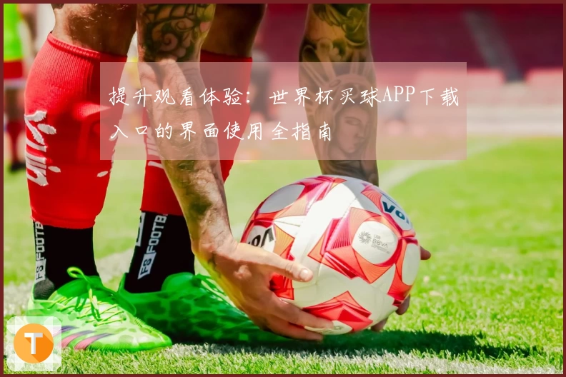 提升观看体验：世界杯买球APP下载入口的界面使用全指南