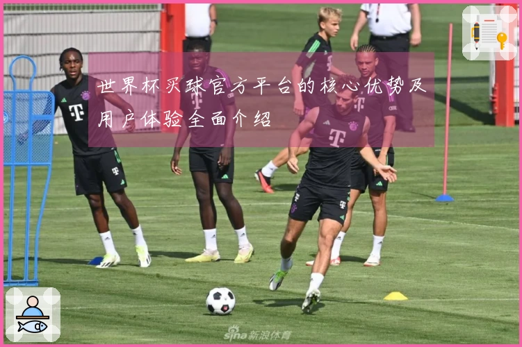 世界杯买球官方平台的核心优势及用户体验全面介绍